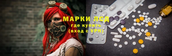 прущие грибы Абинск