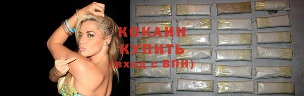 прущие грибы Абинск