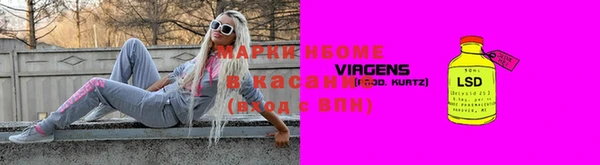 прущие грибы Абинск