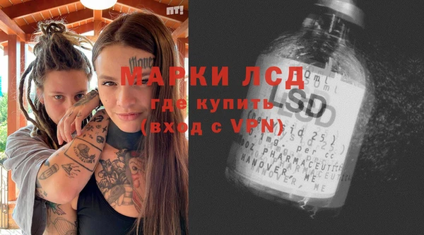 прущие грибы Абинск