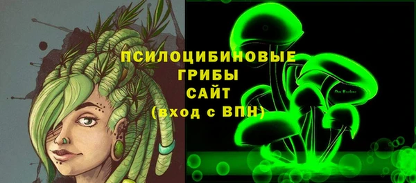 прущие грибы Абинск