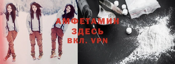 прущие грибы Абинск