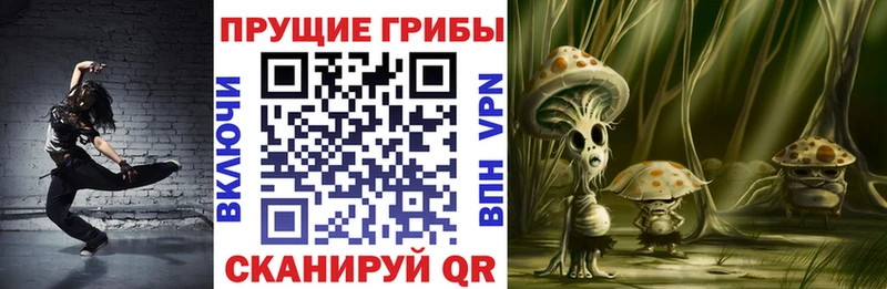 мега   Стерлитамак  Псилоцибиновые грибы Cubensis 