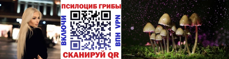 Галлюциногенные грибы Magic Shrooms Стерлитамак