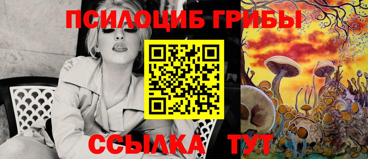 Галлюциногенные грибы Psilocybine cubensis Стерлитамак