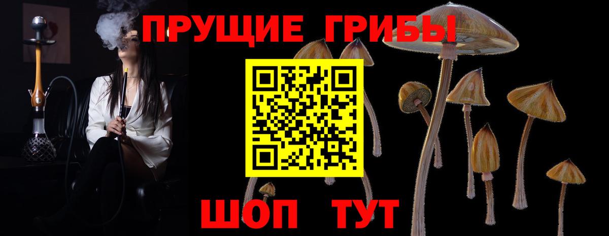Псилоцибиновые грибы GOLDEN TEACHER  Вход с VPN  Галлюциногенные грибы ЛСД  Стерлитамак 